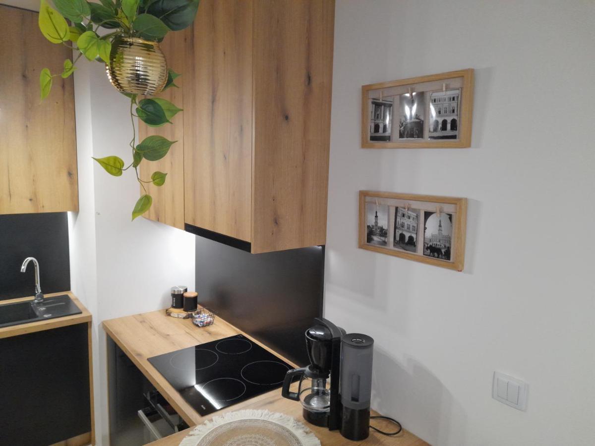 Apartament Amelia Zamość Eksteriør billede